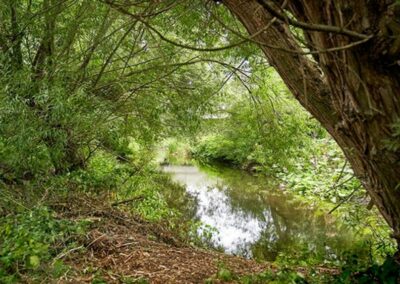 Watford: River Colne