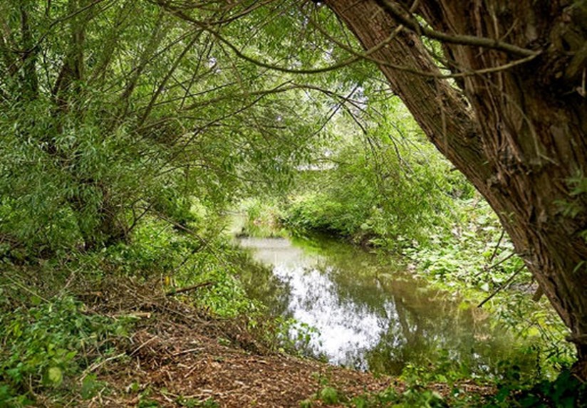 Watford: River Colne