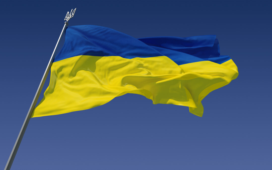 DCN statement on the conflict in Ukraine