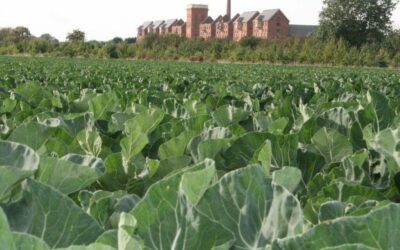North Kesteven:  Climate Emergency Action Plan