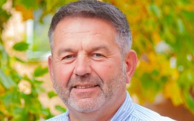 No evidence exists to support mega councils, study reveals