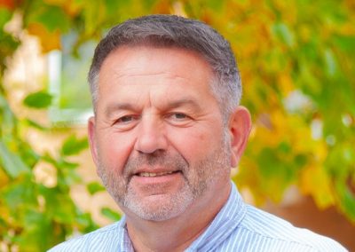 No evidence exists to support mega councils, study reveals