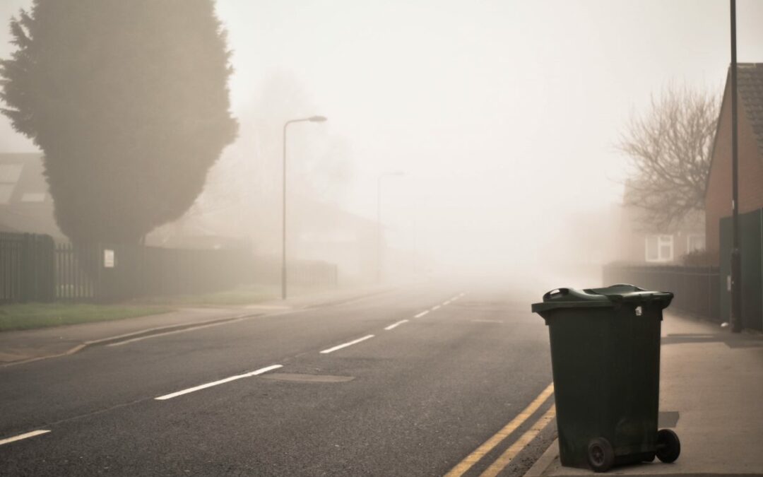 DISTRICT COUNCILS RESPOND TO LGO REPORT ON BIN COLLECTION COMPLAINTS
