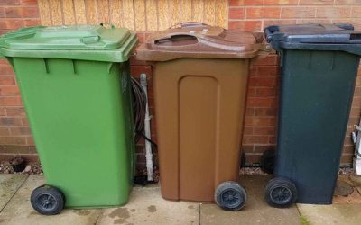 The maintenance of local discretion over recycling is a victory for common sense – DCN responds to Simpler Recycling announcement