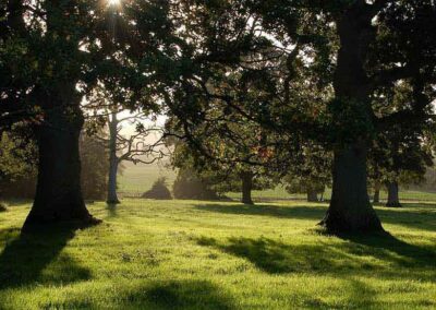 East Devon District Council:  Clyst Valley Regional Park