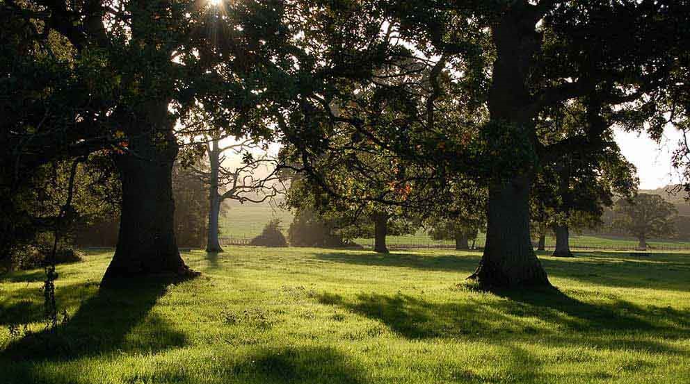 East Devon District Council:  Clyst Valley Regional Park