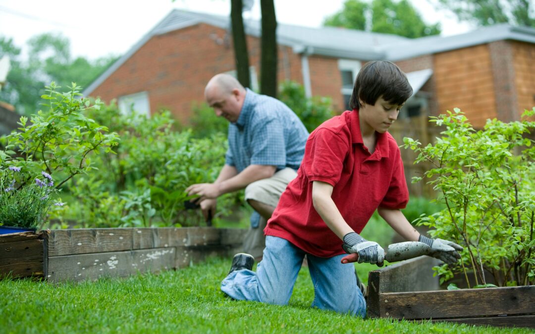 ‘Unnecessary’ garden waste collection changes to cost taxpayer £2.5 billion – councils warn