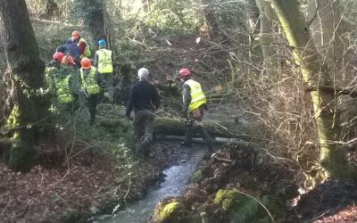 Stroud: Valleys natural flood management project