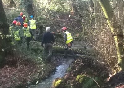 Stroud: Valleys natural flood management project